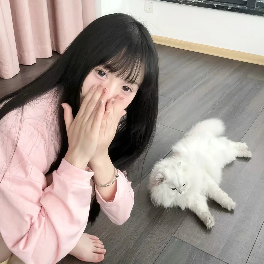 彩云飞